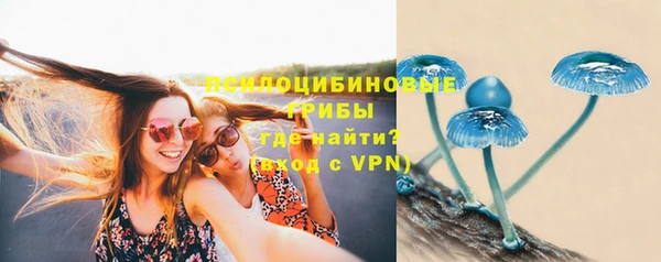 дурь Абаза