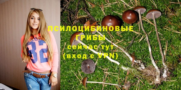 дурь Абаза