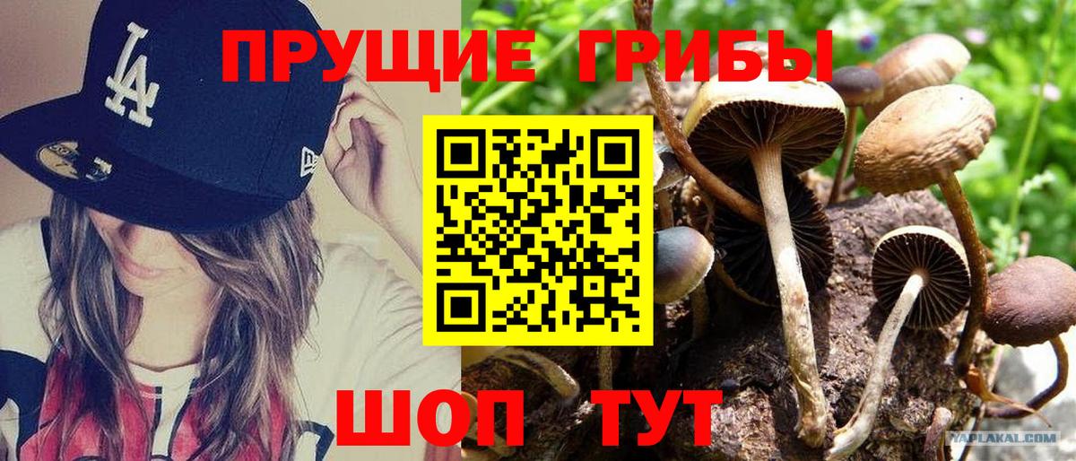 Псилоцибиновые грибы GOLDEN TEACHER  Вход с VPN  Липецк 
